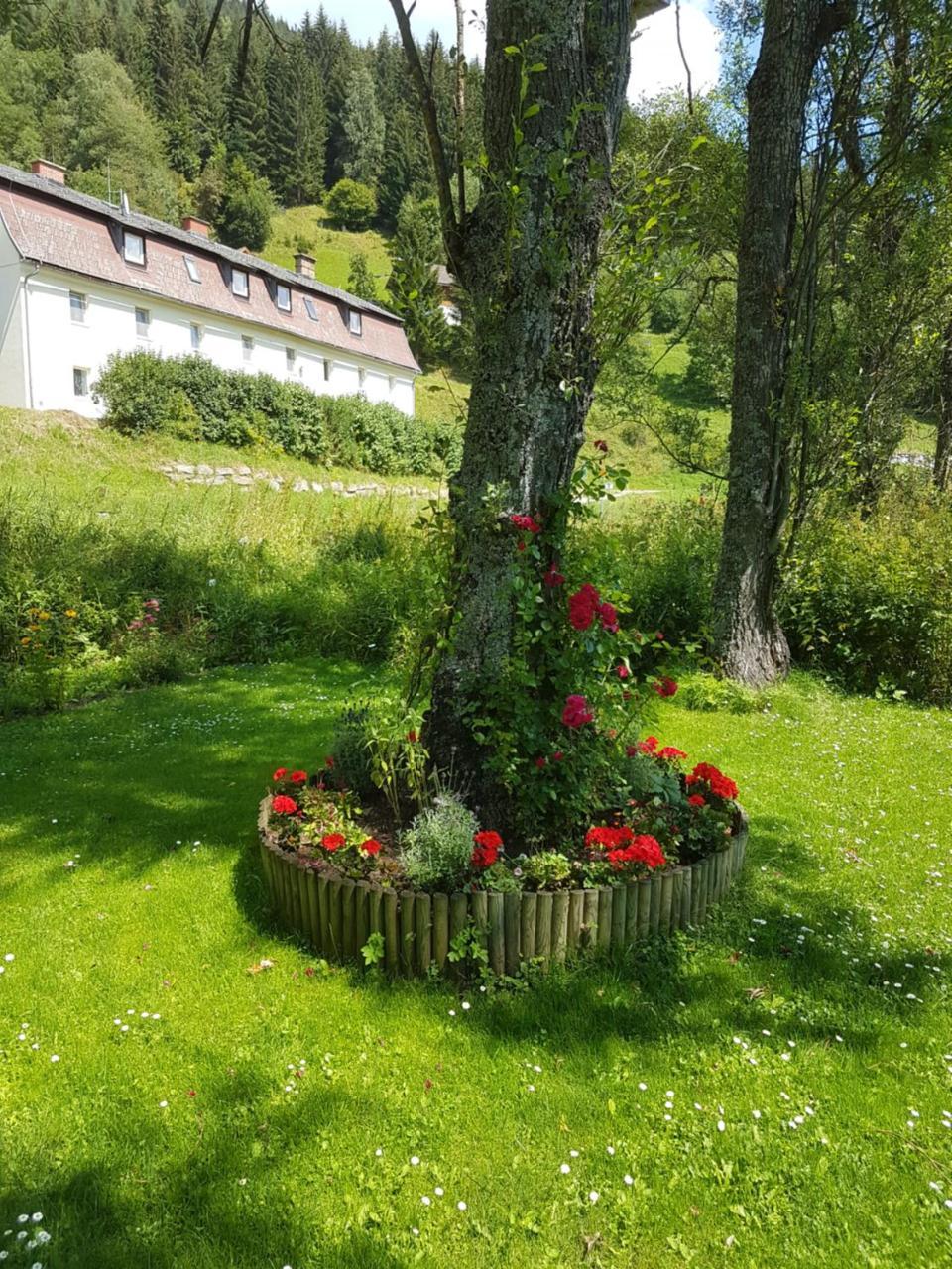 Riverside Ski Apartment Ramingstein Kültér fotó