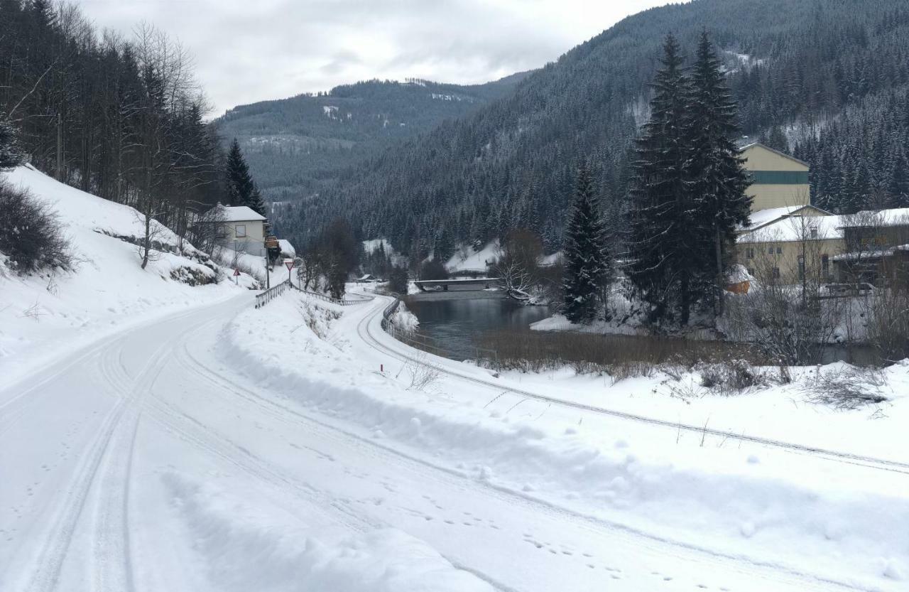 Riverside Ski Apartment Ramingstein Kültér fotó